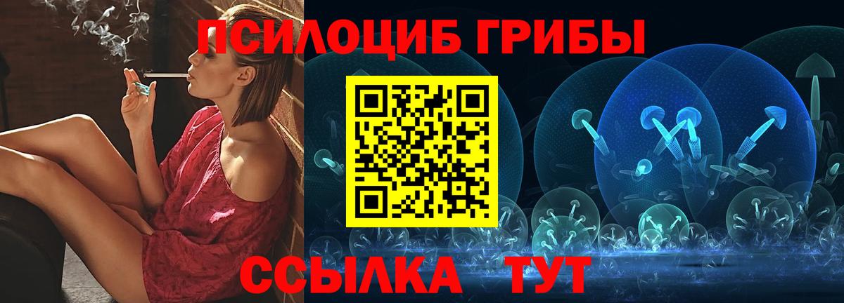 Оренбург  Псилоцибиновые грибы GOLDEN TEACHER  Вход с VPN  Галлюциногенные грибы MAGIC MUSHROOMS 